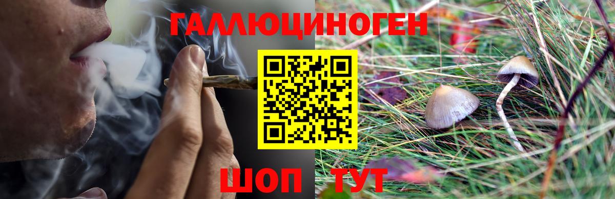 Галлюциногенные грибы Magic Shrooms  Вход с VPN  Истра 